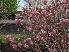 -张学良旧居陈列馆