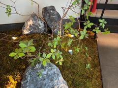 -上座云间·青年赣菜(绿茵店)