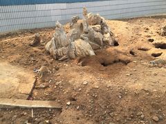 -石家庄市动物园