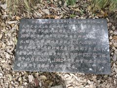 -上海佘山国家森林公园天马山园