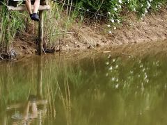 -龙湖东院农庄(乡间小路店)