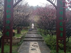 -香雪海