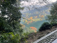 -十八棵（老龙井）御茶园(老龙井店)