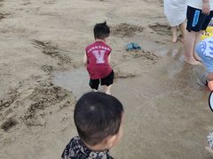 -碧海金沙