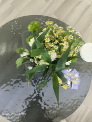 -HEYAN荷妍专业脱毛连锁机构