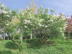 -大连植物园