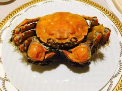 -王宝和酒家(黄浦店)