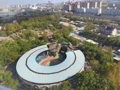 -上海野生动物园