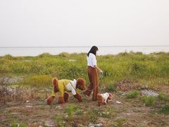 -七的湖·晚芳亭·阳澄湖农家菜·大闸蟹(莲花岛店)