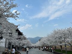 -紫阳古街