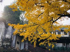 -无锡惠山寺