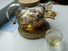 -喵的天空名猫咖啡馆·撸猫·猫舍·用品