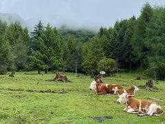 -硗碛藏寨·神木垒景区