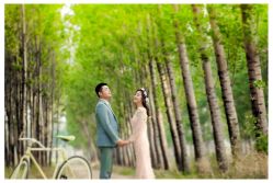 点击看大图 -维纳斯婚纱摄影(鞍山店)