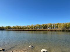 -大兴滨河森林公园