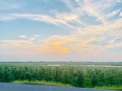 -南汇嘴观海公园