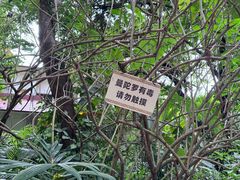 -西双版纳总佛寺