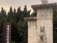 -洛阳古墓博物馆