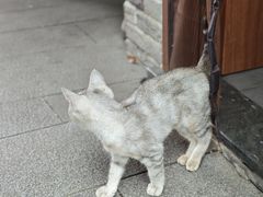 -李东农庄(中南百草园地标店)