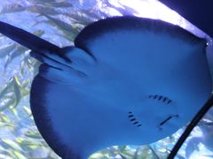 -太平洋海底世界