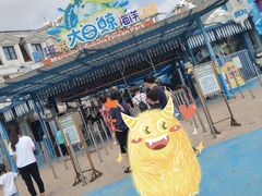 -芜湖新华联大白鲸海洋公园