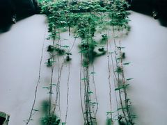 -张公山寨景区