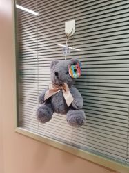 -杭州贝瑞斯美华妇儿医院·早孕·产检·儿科