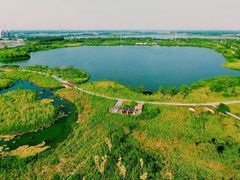 -九里湖国家湿地公园
