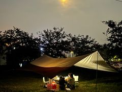 -风云岭森林公园