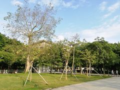 -广东工业大学(大学城校区)