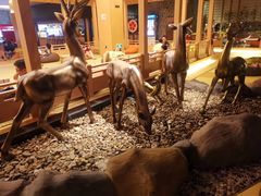 -蓝鲸湾汤泉(包河店)