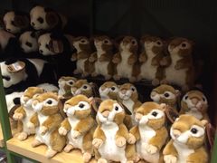-Behring World of Animals(上海自然博物馆店)