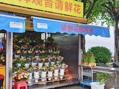 -广州莲花山旅游区