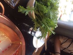 宽巷子成都火锅-宽巷子成都火锅(南站店)