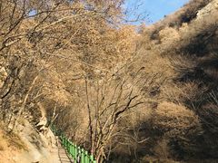 -少华山国家森林公园