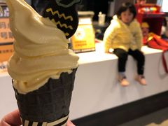 黑金凤梨-麦当劳(丽江玉河广场店)