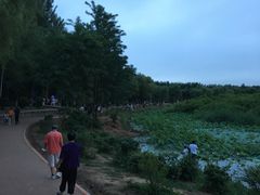 -丁香湖公园