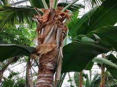 -北京植物园-展览温室