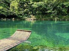 -石台牯牛降景区