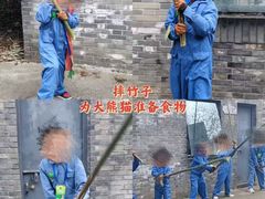 -都江堰中华大熊猫苑