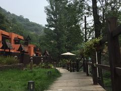 -Local泰莲庭(虹鳟鱼店)