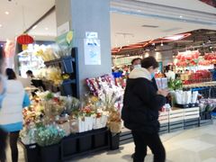 -绚荟城