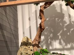 -小荔园·粤菜小馆(美的悦然广场店)