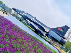 -成飞公园
