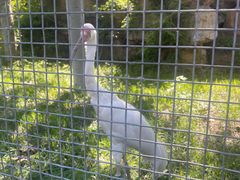 -石家庄市动物园