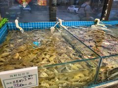 -渡海小渔村.老辈日照菜