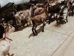 -彩色沙林风景区