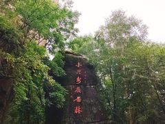 -汤旺河林海奇石景区