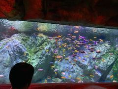 -宁波海洋世界-售票处