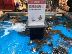 -盒马鲜生(领丰汇店)
